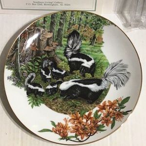 Collectible Plate